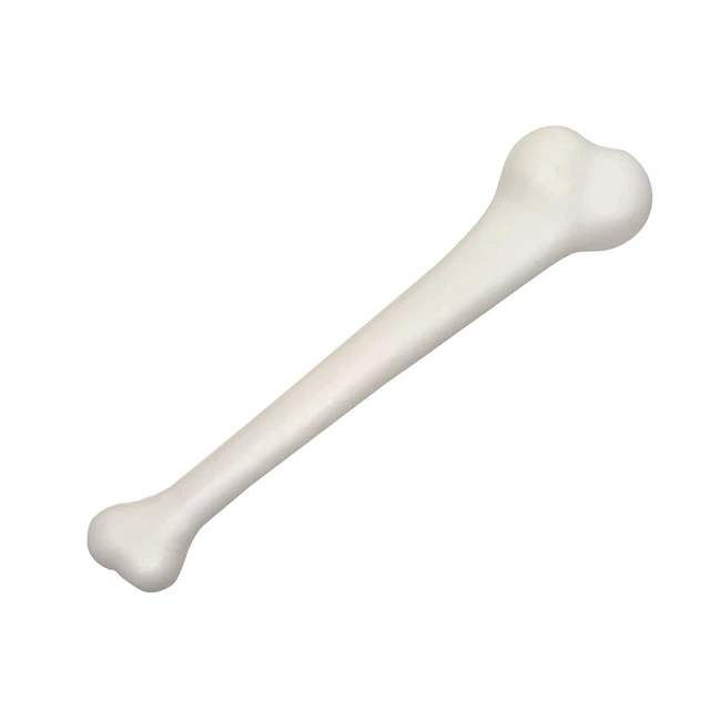 Caveman Bone Skeleton Bones Cosplay Halloween Party Dinosaur Costume Accessory