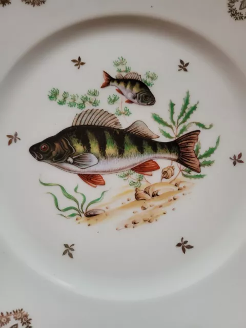 4 ASSIETTES PLATES DÉCOR POISSON EN PORCELAINE de LIMOGES LP HAUTE- EPOQUE 3