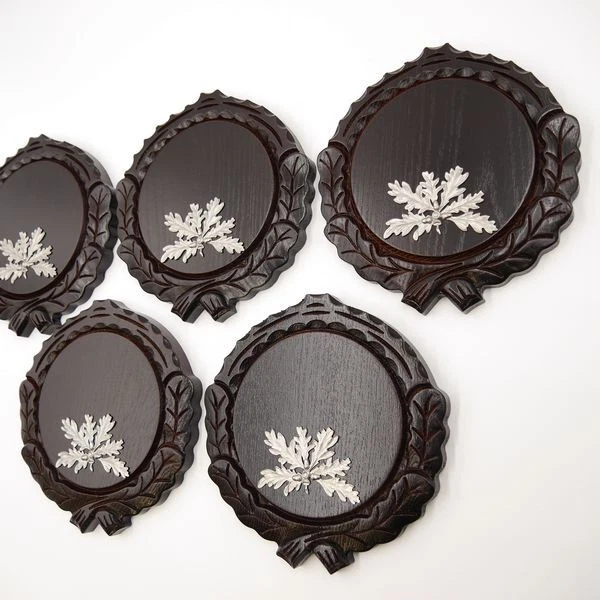 5 Pieza Keilerschilder Tallado Oscuro Af 16cm Con 5 X 6-blättrigen Hoja de Roble 3