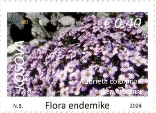 Kosovo Stamps 2024. Flora: Aubrieta columnae croatica Definitive stamps 0.40 MNH