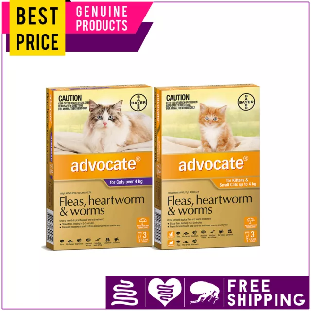 Advocate for Cats Flea Heartworm and Worm Treatment 3 Doses AU Free Shipping