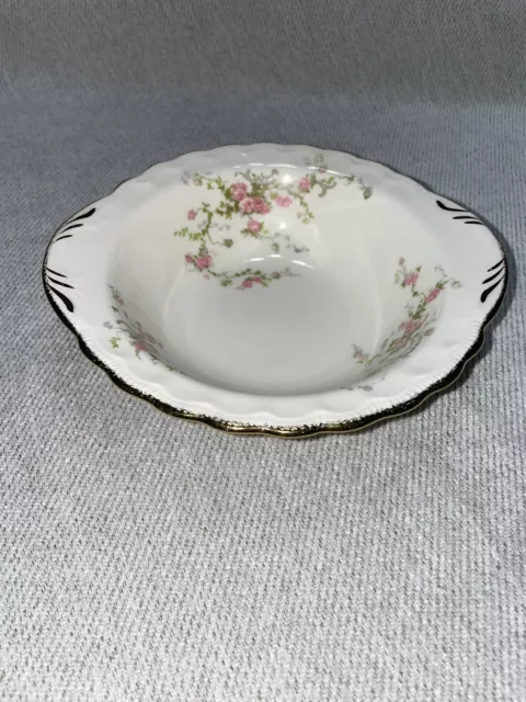 Popegosser China Placesetting, Teacup Saucer Plate Bowl 2