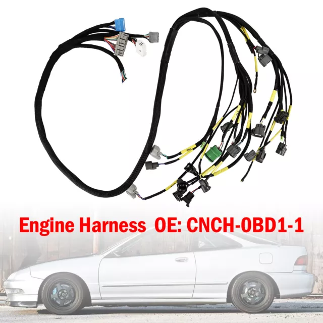 OBD1 Budget D & B-series Tucked Engine Harness for Civic Integra B16 B18 D16 AU