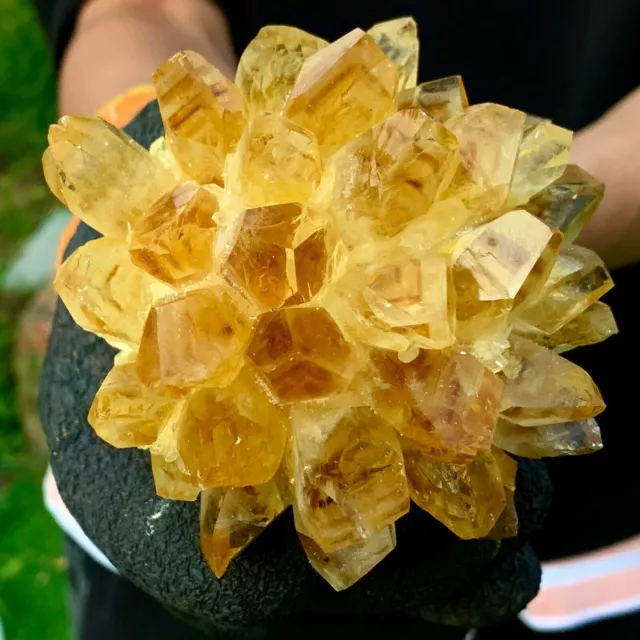 New Find Yellow Phantom Quartz Citrine Crystal Cluster Mineral Specimen Healing