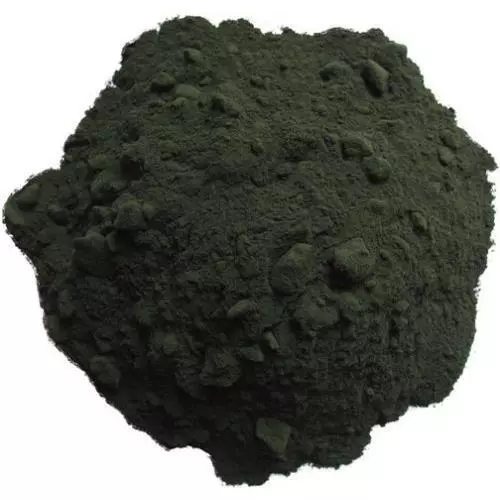 Spirulina Pulver Aufzuchtfutter Triops und Urzeitkrebse Algenpulver Futter 50ml