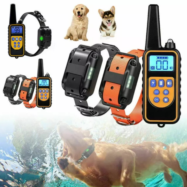 Collare ricaricabile addestramento cane animale domestico impermeabile shock elettrico anti corteccia LCD