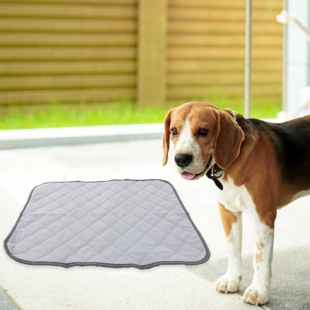 Käfig Tiere Frettchen Käfig Liner Bunny Bettwäsche Für Ausbildung Hause 9