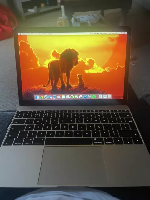 Apple MacBook Retina 12" inizio 2016 - 256 GB SSD / 8 GB RAM / Intel core M3 1,1 GHz
