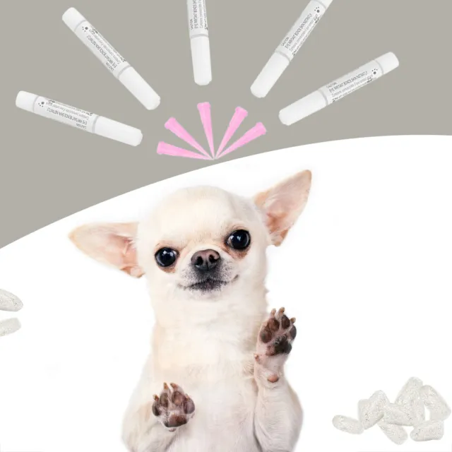 Plata M 100 piezas PVC Multifuncional Suave Mascotas Perro Cubierta de Uñas Envolturas Patas Garra Sg5