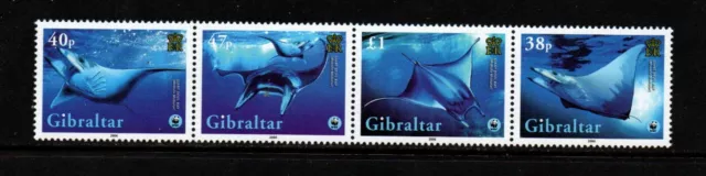 Gibraltar 2006 Rays Marine Life 4v Mint NH
