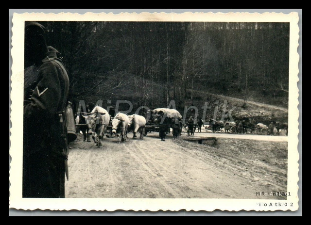 Nikopol Postcards FOTO, WK2, VORMARSCH rtg. Nikopol, Wehrmacht am Schipka-Pass, L31L EUR ...