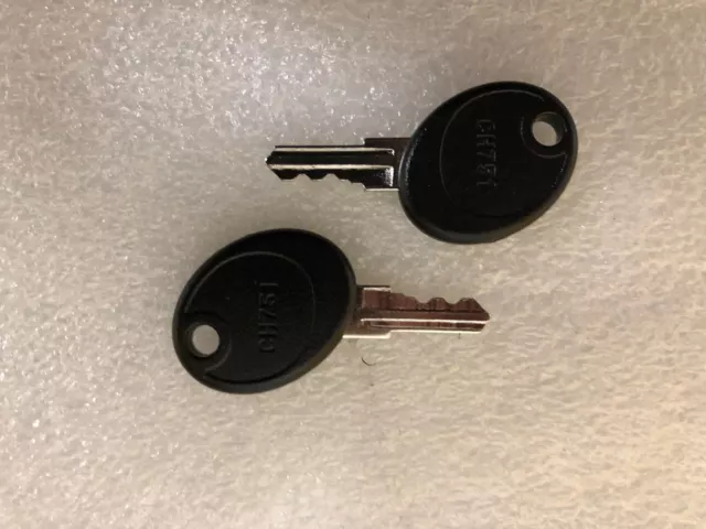 Pair of Southco Factory Precut CH751 Keys, Set of 2 -- FREE shipping --