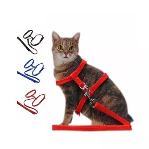 PET LIVING Cat Harness and lead  6 options to choose for your cat