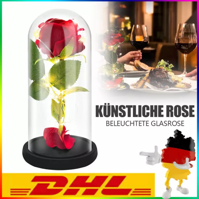 Die Schöne und das Biest Rose Gefallenen Blütenblättern Ewige Rose Rose mit Lamp