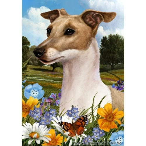 Summer House Flag - Italian Greyhound 18065