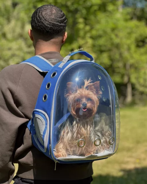 Pet Portable Carrier Backpack Space Capsule Travel Dog Cat Bag Transparent