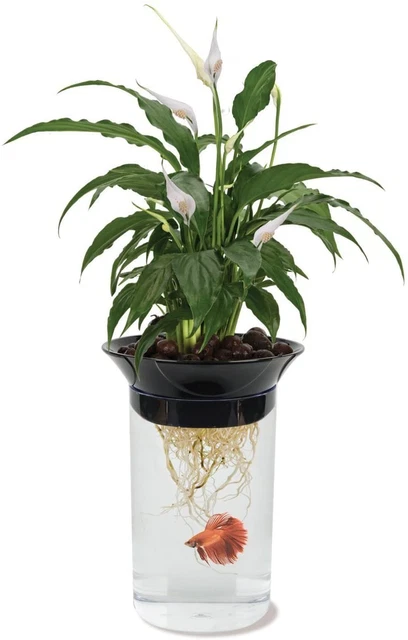 Penn-Plax Aquaponic Planter Aquarium Betta Fish Tank Promotes Healthy Hydroponic