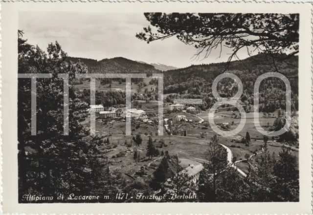 ALTIPIANO DI LAVARONE m.1171 - FRAZIONE BERTOLDI (TRENTO) 1959