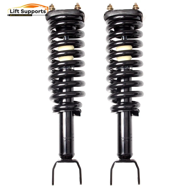 2x For 2005-2009 Dodge Dakota Front Complete Struts Shocks w/ Springs Suspension