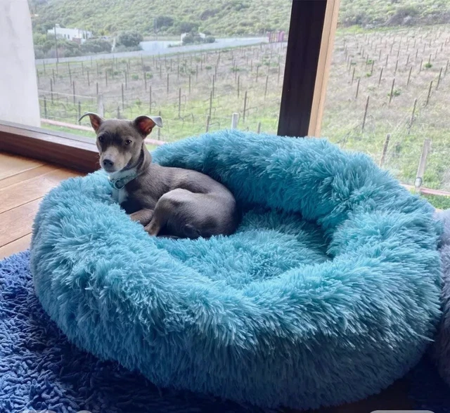 Donut Plush Pet Dog Cat Bed Fluffy Soft Warm Calming Bed Sleeping Kennel Nest