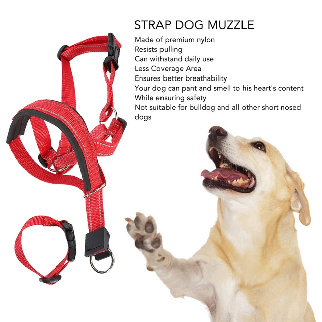 (L) Muso Cane Collare Testa Cane Muso Regolabile Traspirante Cane Muso Prevenire