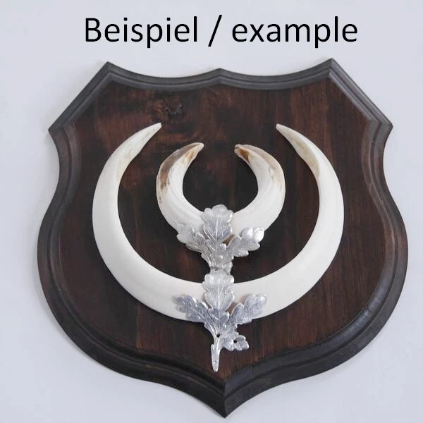 3x Armas Placa de Jabalí Escudo de Trofeo, Af 19cm, Hoja de Roble Portada Simple 2