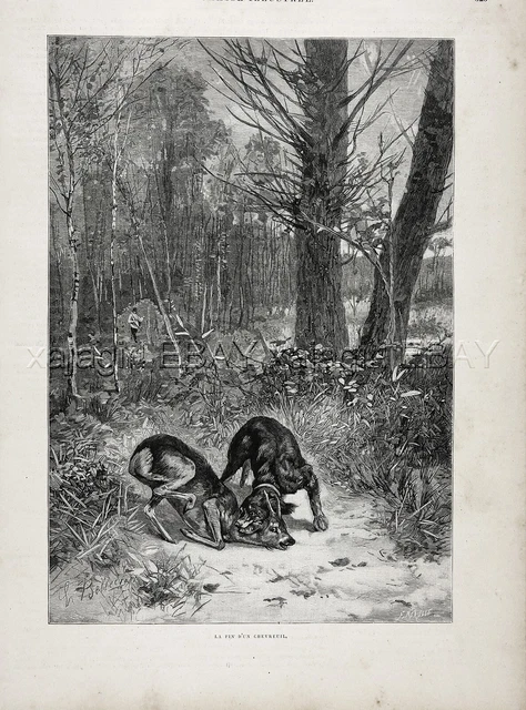 Dog Gordon Setter Dispatches Wounded Deer During Hunt, Large 1880s Antique Print