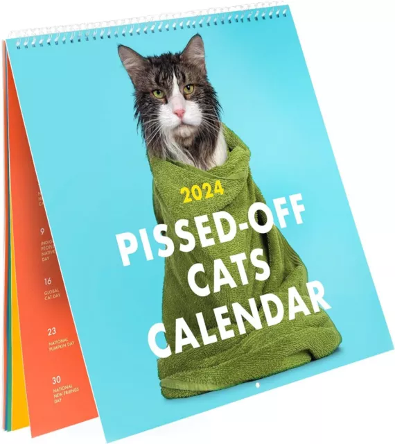 2024 PISSEDOFF CATS Calendar / Funny Cat Wall Calendar 12.68 PicClick