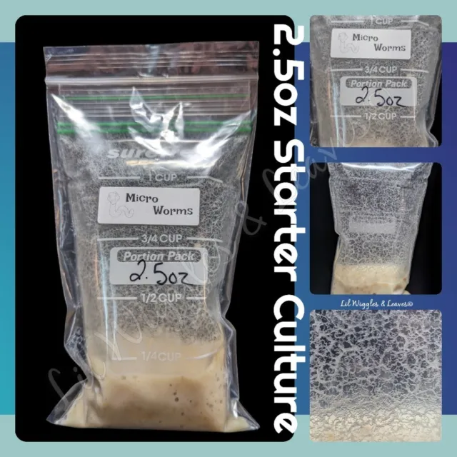 Microworm Cultures - 2.5oz Starter - Live food for Axolotls, Discus & More!