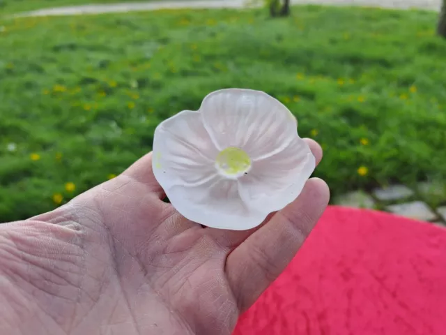 Belle Fleur De Cactus En Pate De Verre De Daum Par Hilton Mc.connico