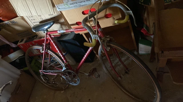 bici da corsa vintage