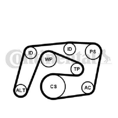 CONTINENTAL CTAM 6pk2260k1 keilrippenriemen Set cinghie trapezoidali frase 