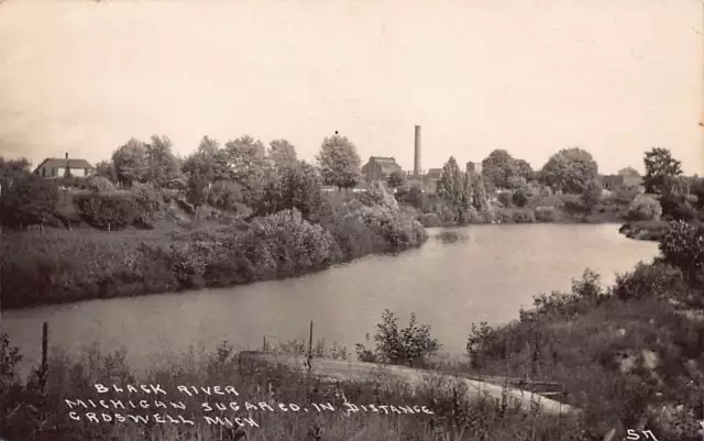 Croswell MI Michigan Sugar Co Factory RPPC Photo Postcard c1920 Black River