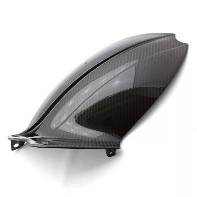 Carbon Kotflügel hinten für Triumph Speed Triple 1050 / R 2011-2020 Schutzblech