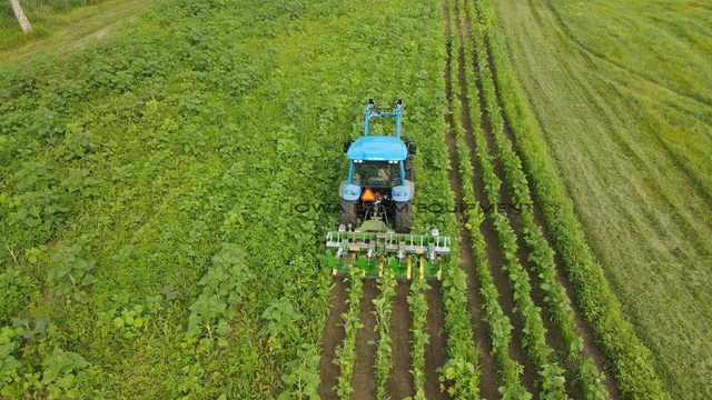 Green Earth Inner-Row Tiller,2-Row Cultivator, CS3075: Organic,Mech Weed Control