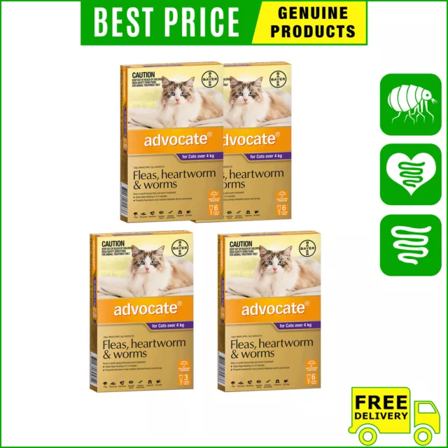 ADVOCATE for Over 4 Kg Cats 3,6,12 Pipettes Heartworm Flea Worm Control PURPLE