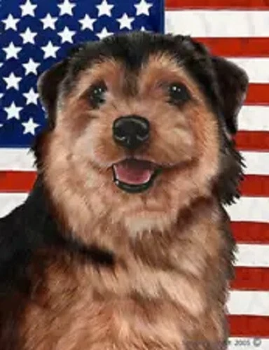 Patriotic (D2) House Flag - Black and Tan Norfolk Terrier 32225