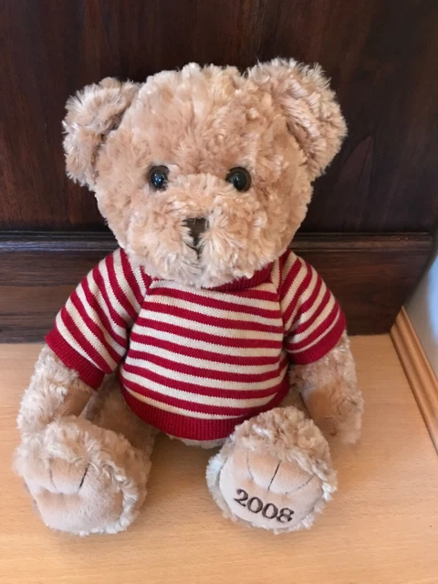 White teddy on sale bear jumper