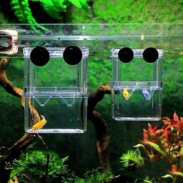 1xFish Breeding Box Shrimp Hatchery Fish Tank Incubator D3D3 Aquarium I8U2