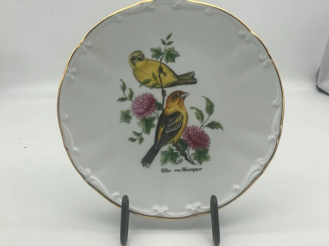Vintage Bareuther Waldsassen Bavaria Germany Plate 8" Western Tanager Bird