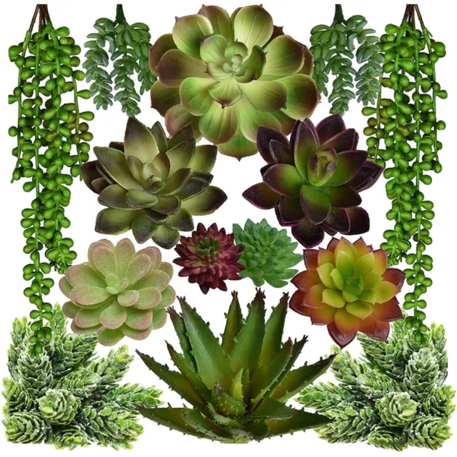 14 Mini Piante Succulente Artificiali per Terrari e Disposizioni (Verde)-DO