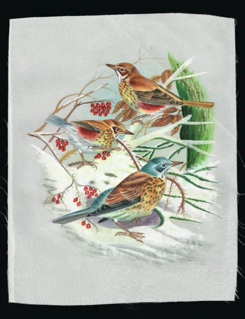 Indien Peinture Miniature De Oiseaux Fait Nature Art Sur Soie Vêtements