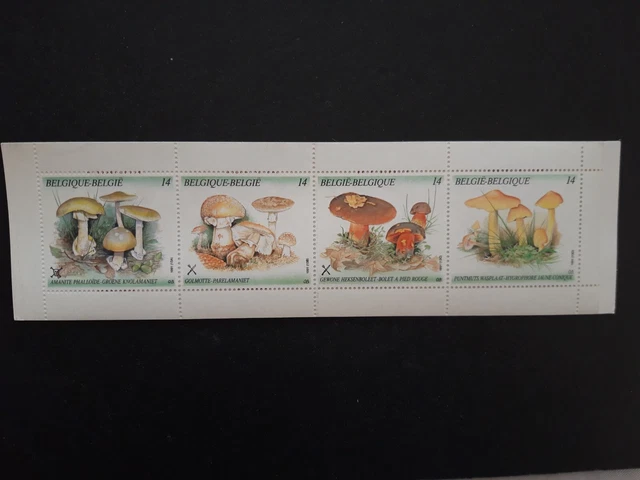 Carnet de timbres neufs de belgique " les champignons " de 1991