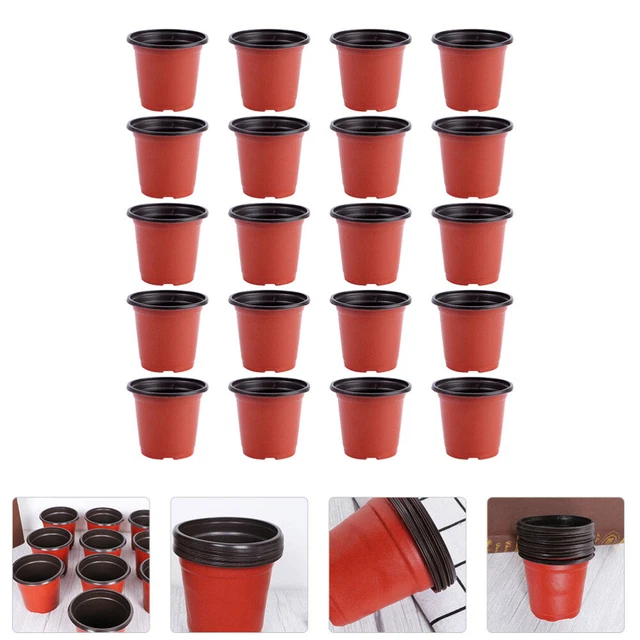 Trasparente Orchidea Vaso Fiore Piccolo Medio Con Fori 5 Confezione Grande, XL