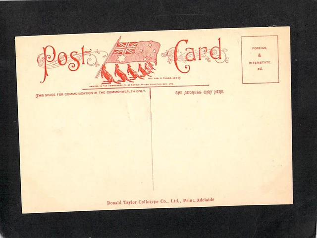 B5055 Australia SA Adelaide Botanic Gardens Rosery vintage postcard 2