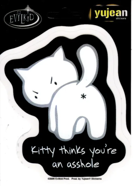 Decal  "KITTY THINKS YOU ARE AN A__HOLE"  extra long lasting decals,  AD758