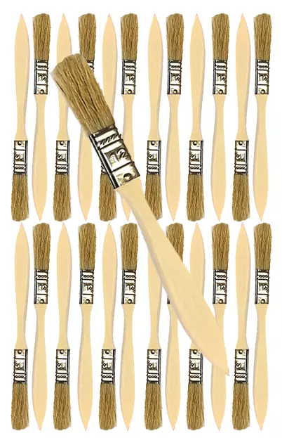 24 Pk- 1/2 inch Chip Paint Brushes for Paint, Stains,Varnishes,Glues,Gesso