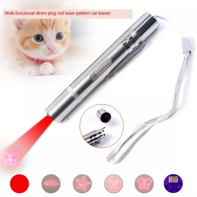 Animal de compagnie chat chaton jouet pointeur  chargeur USB stylo lumineux