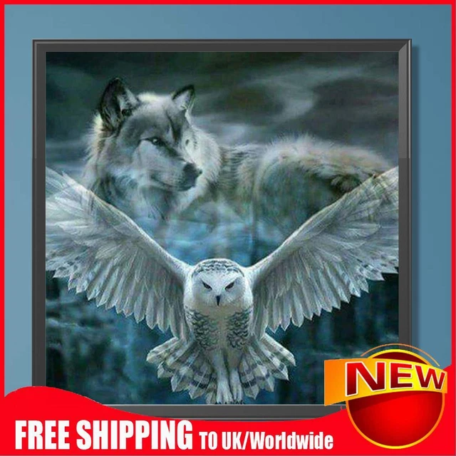 Paint By Numbers Kit DIY Oil Art White Owl Picture Home Wall Decoration 40x40cm