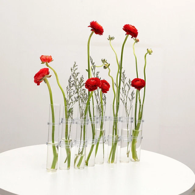 Vase Decoratif Yuraigm Grand Vase à Fleurs En Verre Transparent, 20 Cm De Haut, Rond, Rond, Vase De Sol, Décoratif, Cylindrique, Pour Herbe De La Pampa, Roses, Tulipes, Décoration De Table De Vase Decoratif Yuraigm Grand Vase à Fleurs En Verre Transparent, 20 Cm De Haut, Rond, Rond, Vase De Sol, Décoratif, Cylindrique, Pour Herbe De La Pampa, Roses, Tulipes, Décoration De Table De